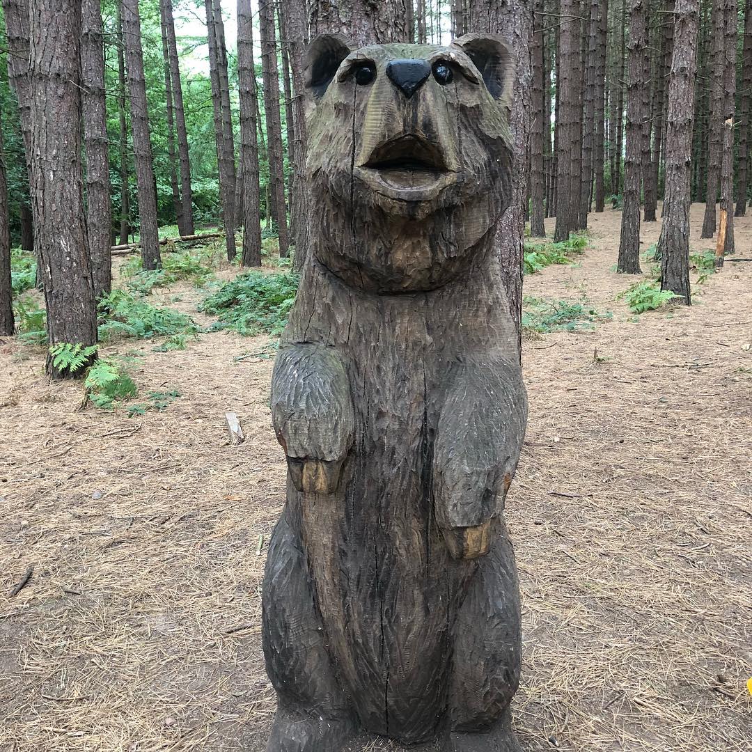 A picture of a wood bear